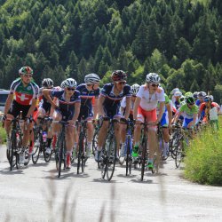 TPV 2015
