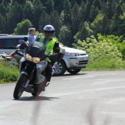 TPV 2015
