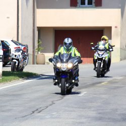 IMG_5484